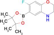 (7-FLUORO-3,4-DIHYDRO-2H-BENZO[B][1,4]OXAZIN-6-YL)BORONIC ACID PINACOL ESTER
