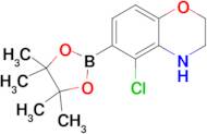 (5-CHLORO-3,4-DIHYDRO-2H-BENZO[B][1,4]OXAZIN-6-YL)BORONIC ACID PINACOL ESTER