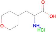 (R)-2-AMINO-3-(TETRAHYDRO-2H-PYRAN-4-YL)PROPANOIC ACID HYDROCHLORIDE