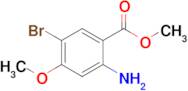 METHYL 2-AMINO-5-BROMO-4-METHOXYBENZOATE