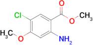 METHYL 2-AMINO-5-CHLORO-4-METHOXYBENZOATE