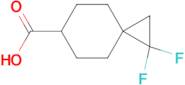 1,1-DIFLUOROSPIRO[2.5]OCTANE-6-CARBOXYLIC ACID