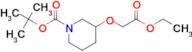 TERT-BUTYL 3-((ETHOXYCARBONYL)METHOXY)PIPERIDINE-1-CARBOXYLATE