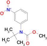 TERT-BUTYL METHYL 3-NITROPHENYLCARBAMATE