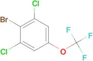 2,6-DICHLORO-4-(TRIFLUOROMETHOXY)BROMOBENZENE