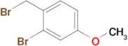 2-BROMO-1-(BROMOMETHYL)-4-METHOXYBENZENE