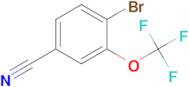 4-BROMO-3-(TRIFLUOROMETHOXY)BENZONITRILE