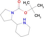 TERT-BUTYL 2-(PIPERIDIN-2-YL)PYRROLIDINE-1-CARBOXYLATE