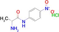 (R)-2-amino-N-(4-nitrophenyl)propanamide hydrochloride