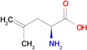 H-4,5-DEHYDRO-LEU-OH