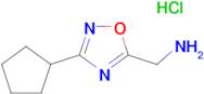 C-(3-Cyclopentyl-[1,2,4]oxadiazol-5-yl)-methylamine; hydrochloride