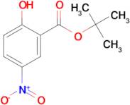 2-Hydroxy-5-nitro-benzoic acid tert-butyl ester