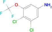 3,4-Dichloro-5-(trifluoromethoxy)aniline