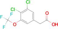 3,4-Dichloro-5-(trifluoromethoxy)phenylacetic acid
