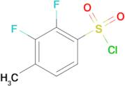 2,3-Difluoro-4-methylbenzenesulfonyl chloride