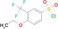 4-Ethoxy-3-(trifluoromethyl)benzenesulfonyl chloride