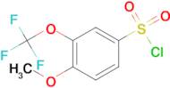 4-Methoxy-3-(trifluoromethoxy)benzenesulfonyl chloride