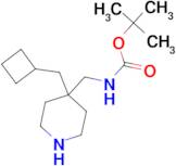 tert-Butyl [4-(cyclobutylmethyl)piperidin-4-yl]methylcarbamate