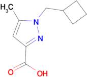 1-(Cyclobutylmethyl)-5-methyl-1H-pyrazole-3-carboxylic acid