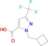 1-(Cyclobutylmethyl)-3-(trifluoromethyl)-1H-pyrazole-5-carboxylic acid