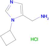 (1-Cyclobutyl-1H-imidazol-5-yl)methanamine hydrochloride