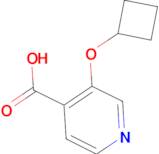 3-Cyclobutoxyisonicotinic acid