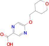 5-[(Tetrahydro-2H-pyran-4-yl)methoxy]pyrazine-2-carboxylic acid