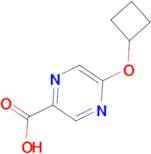 5-Cyclobutoxypyrazine-2-carboxylic acid