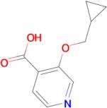 3-(Cyclopropylmethoxy)isonicotinic acid