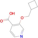 3-(Cyclobutylmethoxy)isonicotinic acid