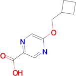 5-(Cyclobutylmethoxy)pyrazine-2-carboxylic acid