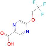 5-(2,2,2-Trifluoroethoxy)pyrazine-2-carboxylic acid