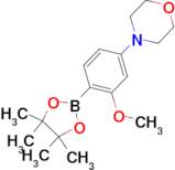 4-[3-Methoxy-4-(4,4,5,5-tetramethyl-1,3,2-dioxaborolan-2-yl)phenyl]morpholine