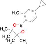 2-(4-Cyclopropyl-2-methylphenyl)-4,4,5,5-tetramethyl-1,3,2-dioxaborolane