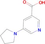 5-(Pyrrolidin-1-yl)nicotinic acid