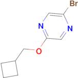 2-Bromo-5-(cyclobutylmethoxy)pyrazine