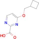 4-(Cyclobutylmethoxy)pyrimidine-2-carboxylic acid