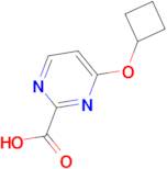 4-Cyclobutoxypyrimidine-2-carboxylic acid