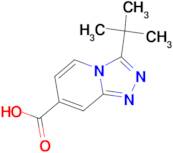 3-tert-Butyl-[1,2,4]triazolo[4,3-a]pyridine-7-carboxylic acid