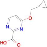 4-(Cyclopropylmethoxy)pyrimidine-2-carboxylic acid