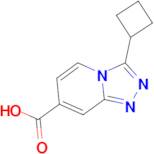 3-Cyclobutyl-[1,2,4]triazolo[4,3-a]pyridine-7-carboxylic acid