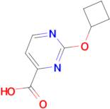 2-Cyclobutoxypyrimidine-4-carboxylic acid