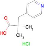 2,2-Dimethyl-3-(pyridin-4-yl)propanoic acid hydrochloride