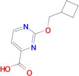 2-(Cyclobutylmethoxy)pyrimidine-4-carboxylic acid