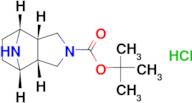 tert-butyl rac-(1R,2S,6R,7S)-4,10-diazatricyclo[5.2.1.0~2,6~]decane-4-carboxylate hydrochloride