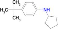 (4-tert-Butyl-phenyl)-cyclopentyl-amine