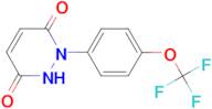 1-(4-Trifluoromethoxy-phenyl)-1,2-dihydro-pyridazine-3,6-dione