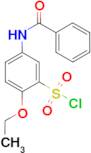 5-Benzoylamino-2-ethoxy-benzenesulfonylchloride