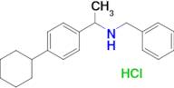 Benzyl-[1-(4-cyclohexyl-phenyl)-ethyl]-amine;hydrochloride