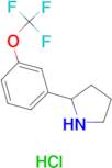 2-(3-Trifluoromethoxyphenyl)pyrrolidine hydrochloride
